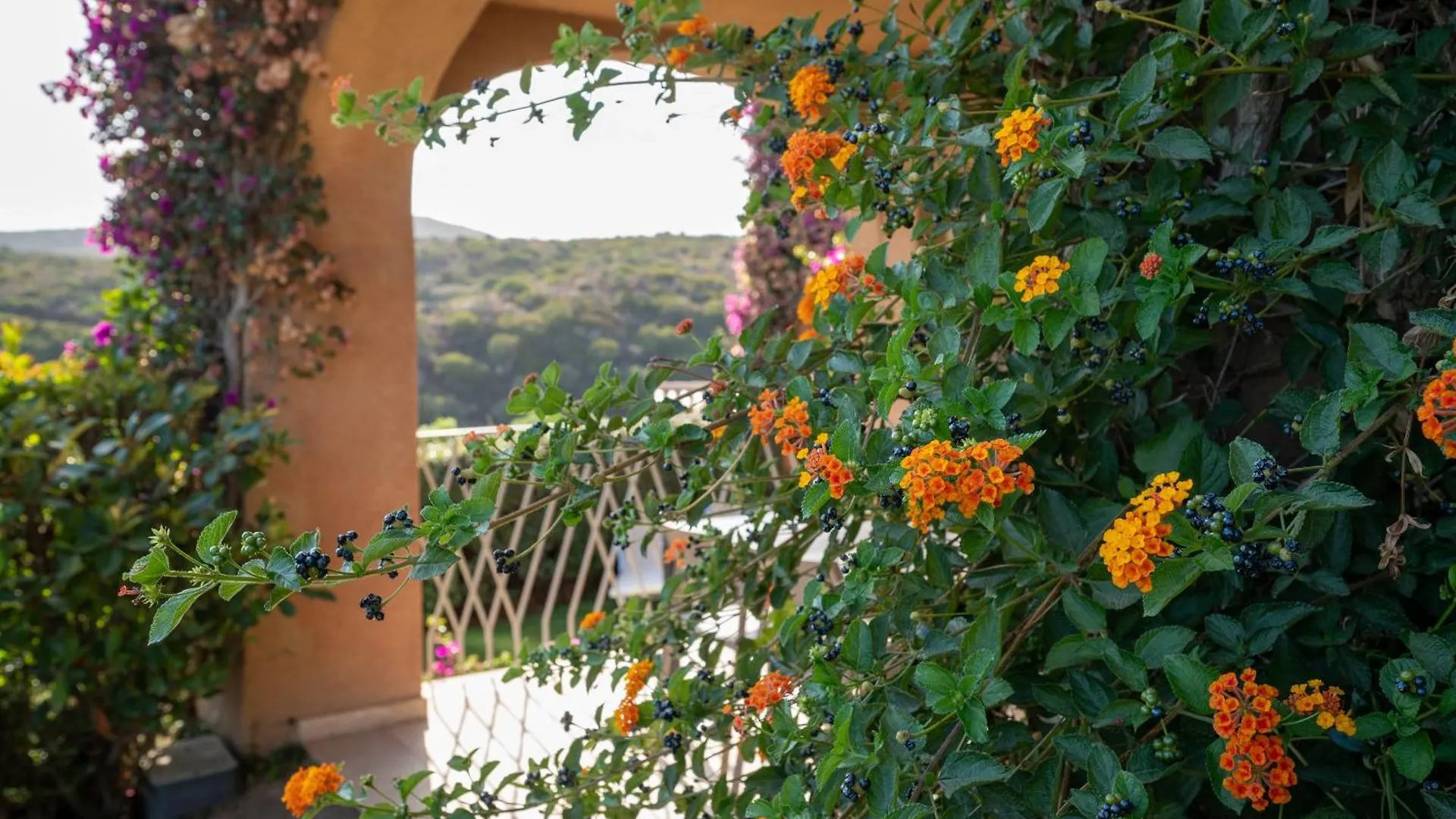 Sherden Suites - Your House In Sardinia Golfo Aranci 0*,